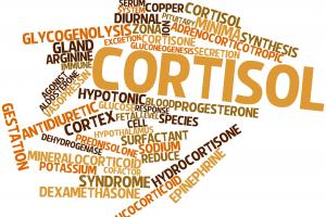 how to decrease cortisol